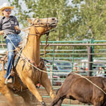 action shot of woman on horse roping cattle
