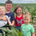 four young children standing in a corn field