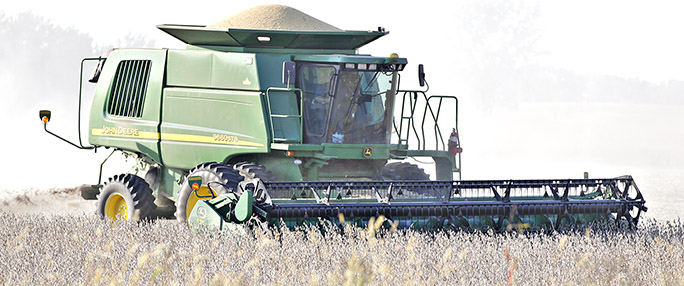 combining soybeans