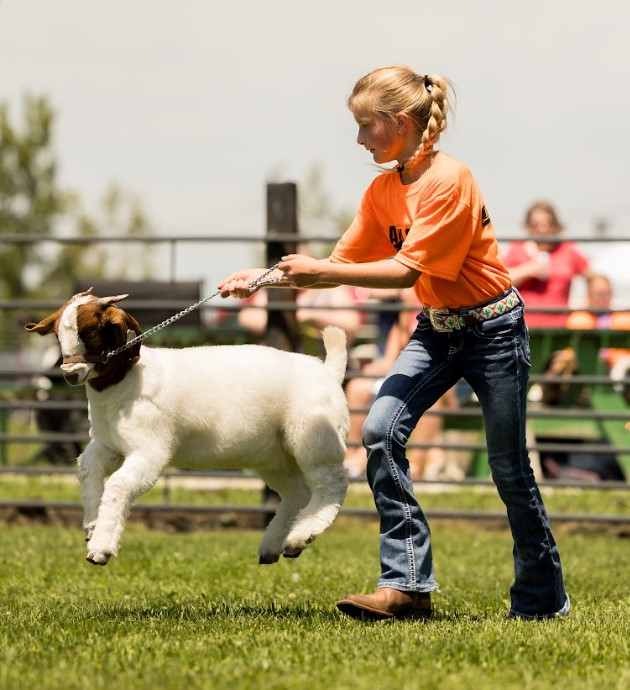 Heat, heart and hard work: Clark Prospect Show rings in year four