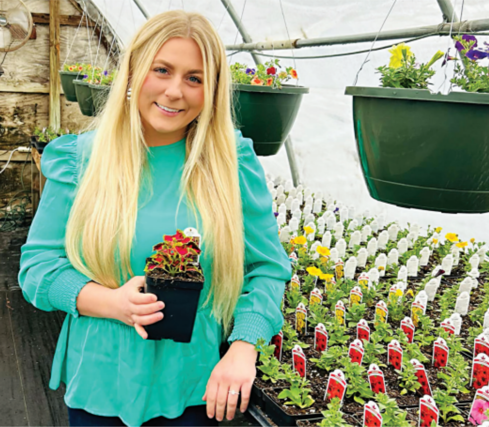 Bristol Greenhouse and Herr Flowers: Madilyn Steen’s flowers of tomorrow are in seeds of today