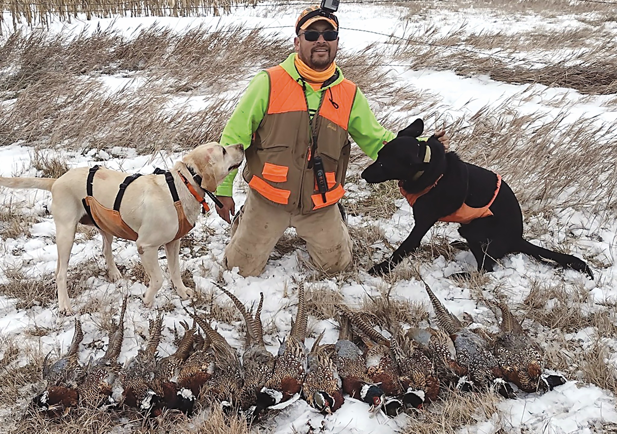 Local guides reflect on dogs’ impact on hunting success